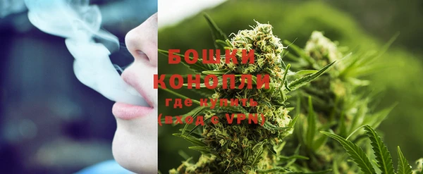 мяу мяу кристалл Няндома