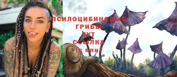 мяу мяу кристалл Няндома