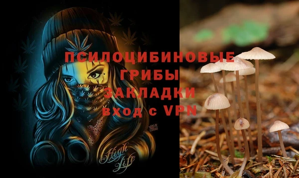 прущие крисы Нязепетровск
