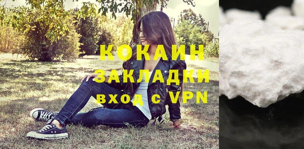 мяу мяу кристалл Няндома