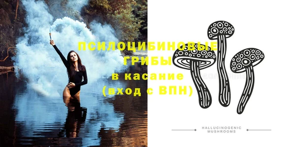 мяу мяу кристалл Няндома