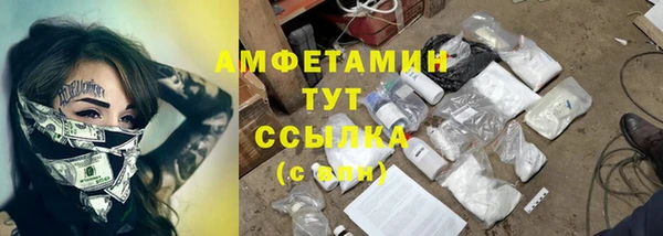 мяу мяу кристалл Няндома