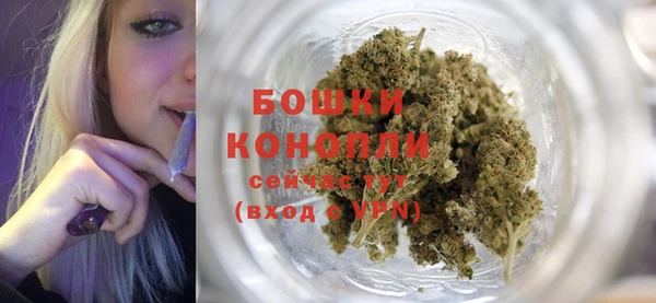 мяу мяу кристалл Няндома