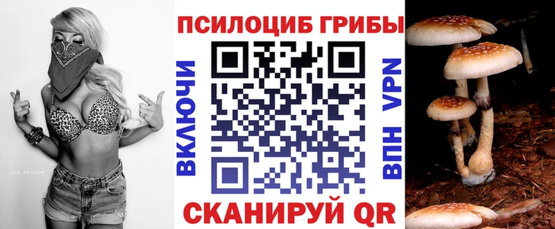 кракен зеркало  Шлиссельбург  Галлюциногенные грибы MAGIC MUSHROOMS 